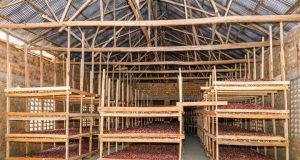 Why Food Storage Is a Major Problem in Nigeria and How to Solve It farm produce storage